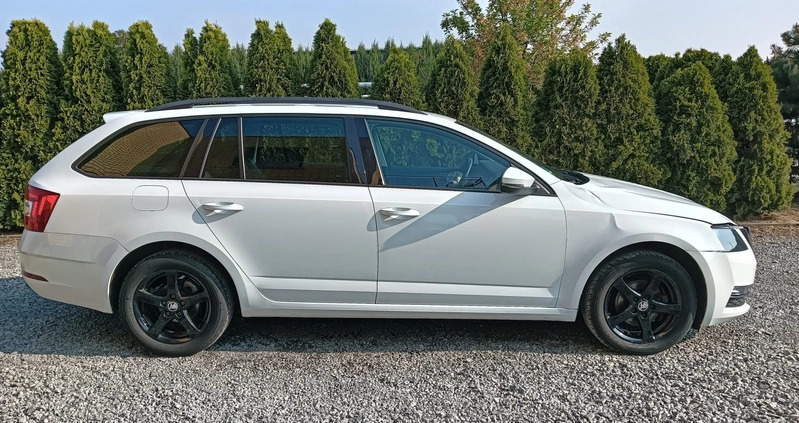 Skoda Octavia cena 35800 przebieg: 95428, rok produkcji 2018 z Łódź małe 301